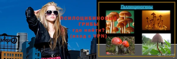 индика Алексеевка