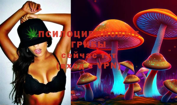 индика Алексеевка