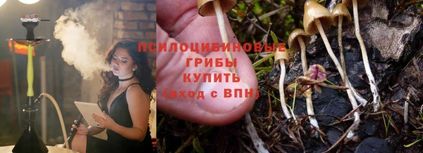 индика Алексеевка